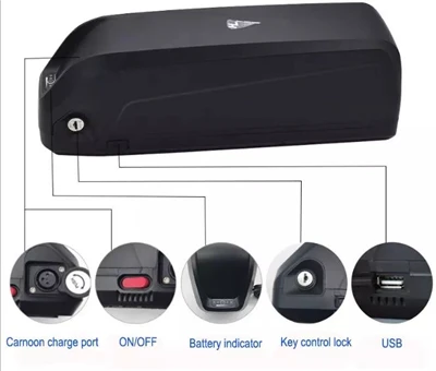 Hailong 36v Battery