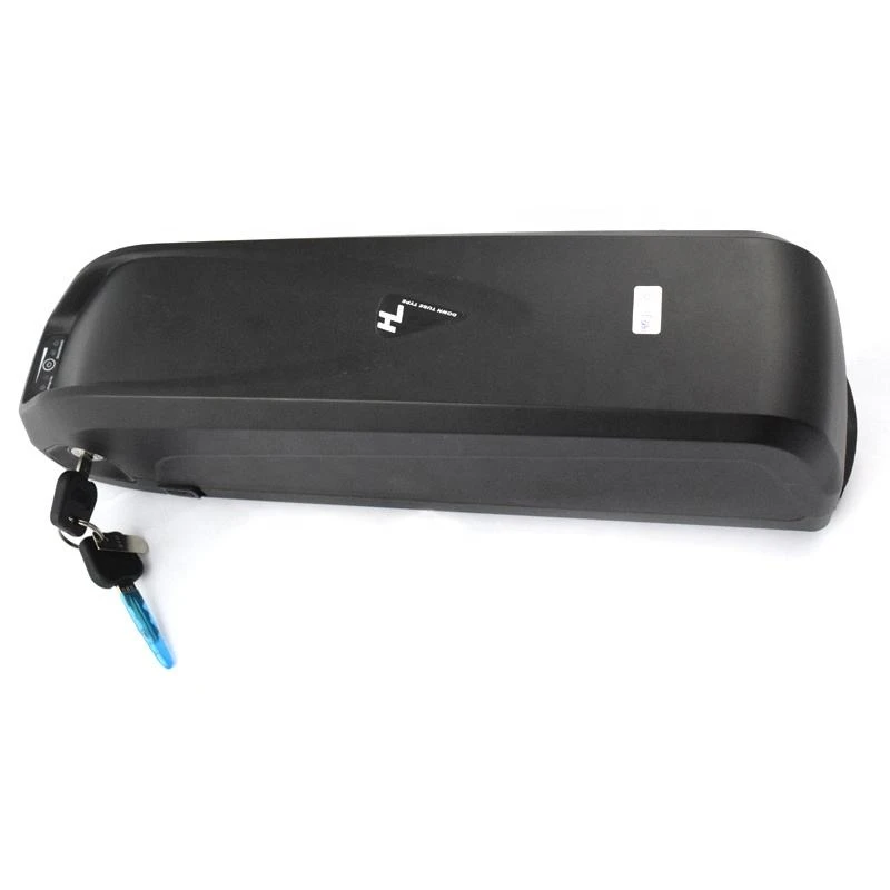 Hailong-accu 48v 20ah
